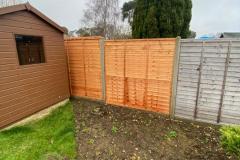 Property Maintenance